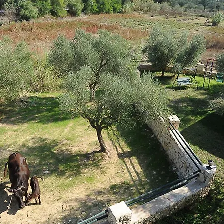 アパート Ammos Zante Vasilikí