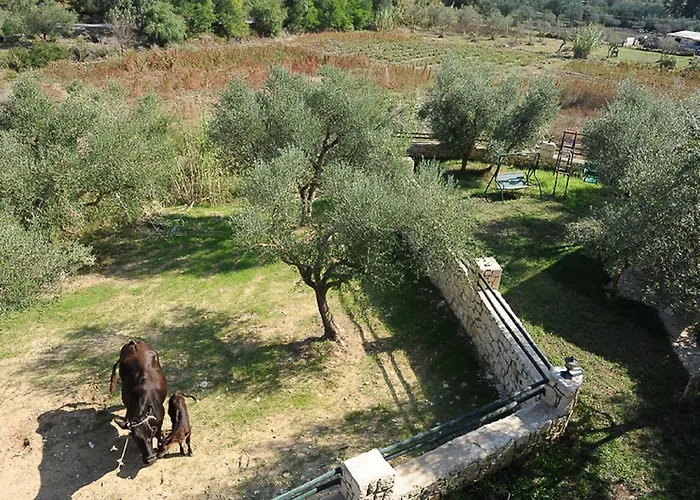 Apartmán Ammos Zante Vasilikí